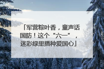 军营粽叶香，童声话国防！这个“六一”，迷彩绿里播种爱国心